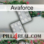 Avaforce 17